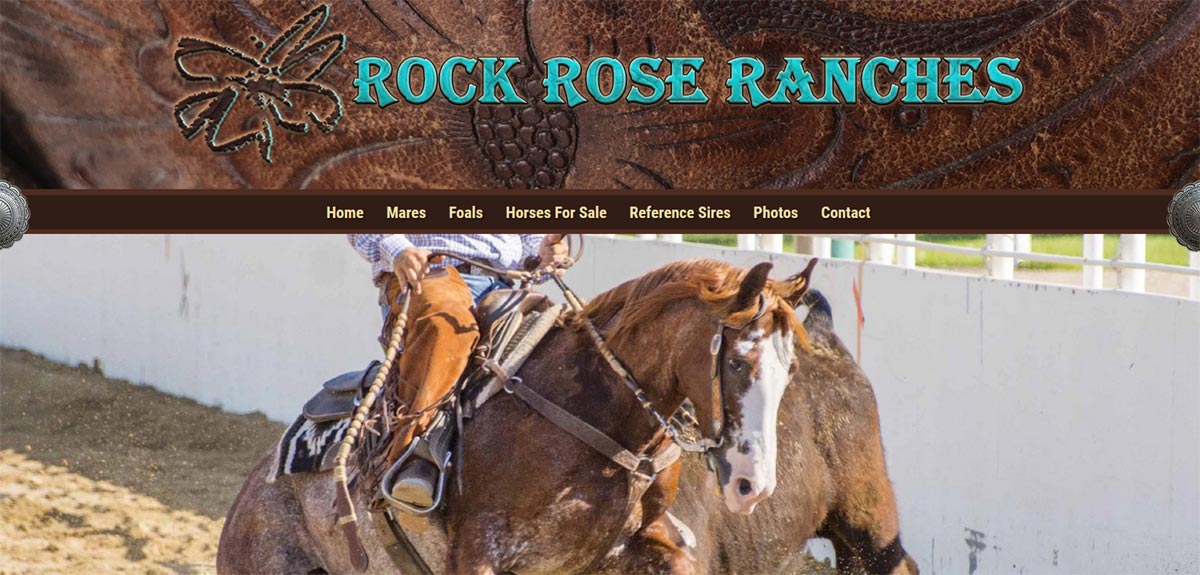 Magic Sandy - Rock Rose Ranches